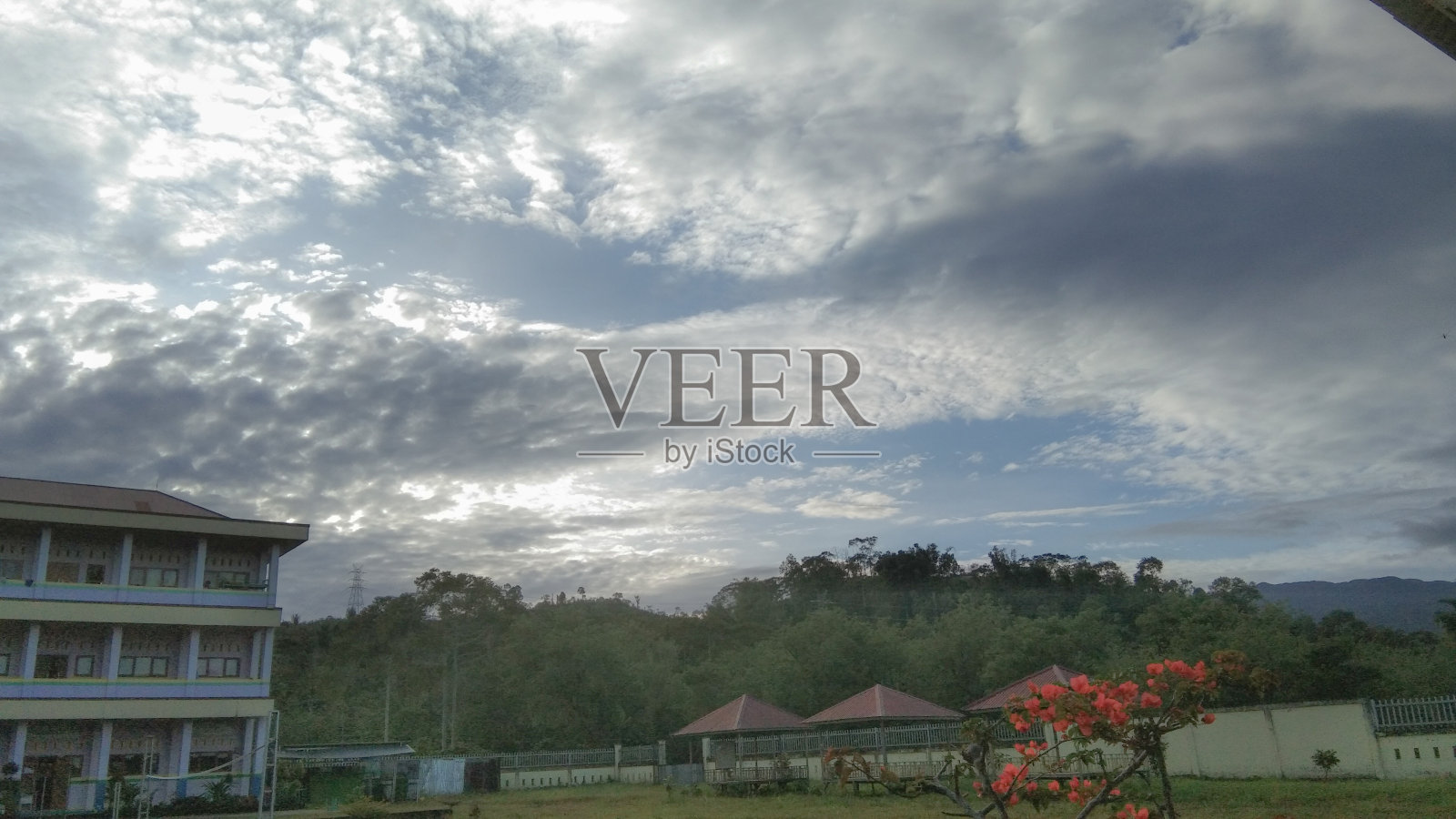 在清晨的天空中照片摄影图片