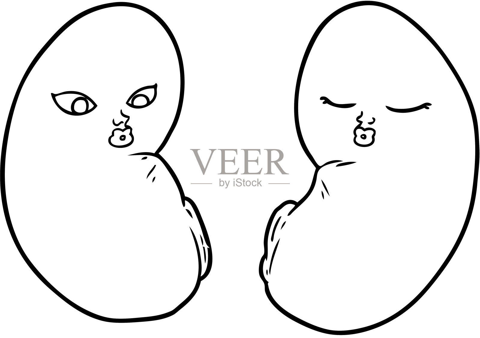 卡通肾脏插画图片素材