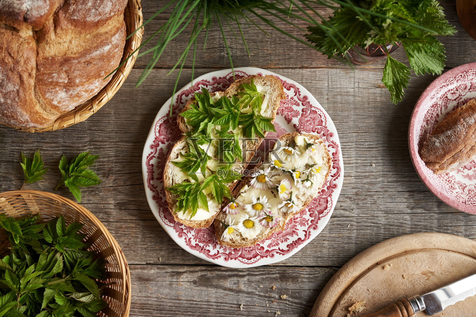 面包片上的年轻接骨木叶和普通雏菊花照片摄影图片