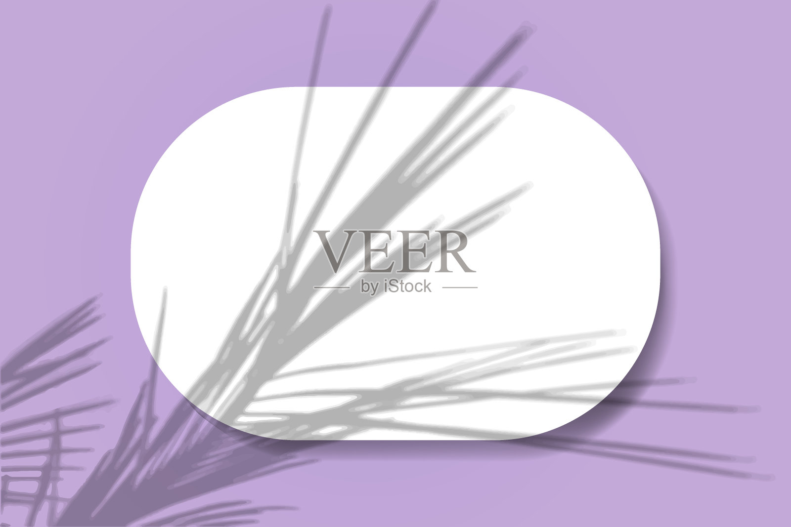 粉红色墙壁背景上的一张水平椭圆形白纸。模拟覆盖与植物的阴影。自然光在棕榈枝上投下阴影。平躺，俯视图。水平插画图片素材