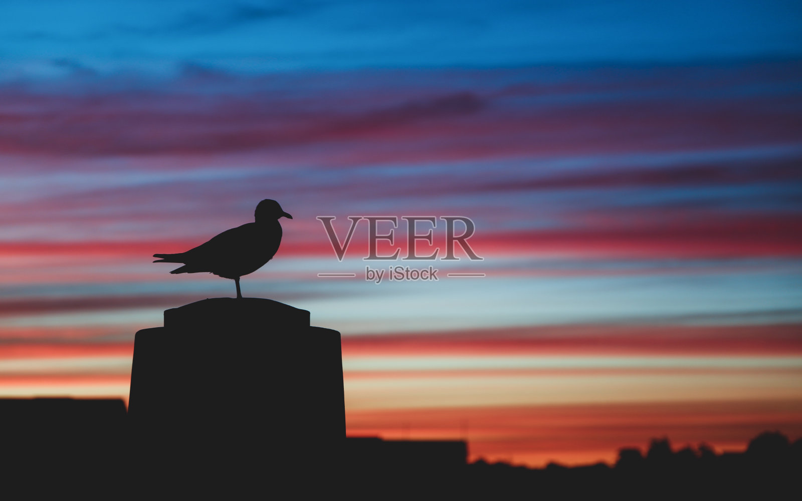 花点时间照片摄影图片