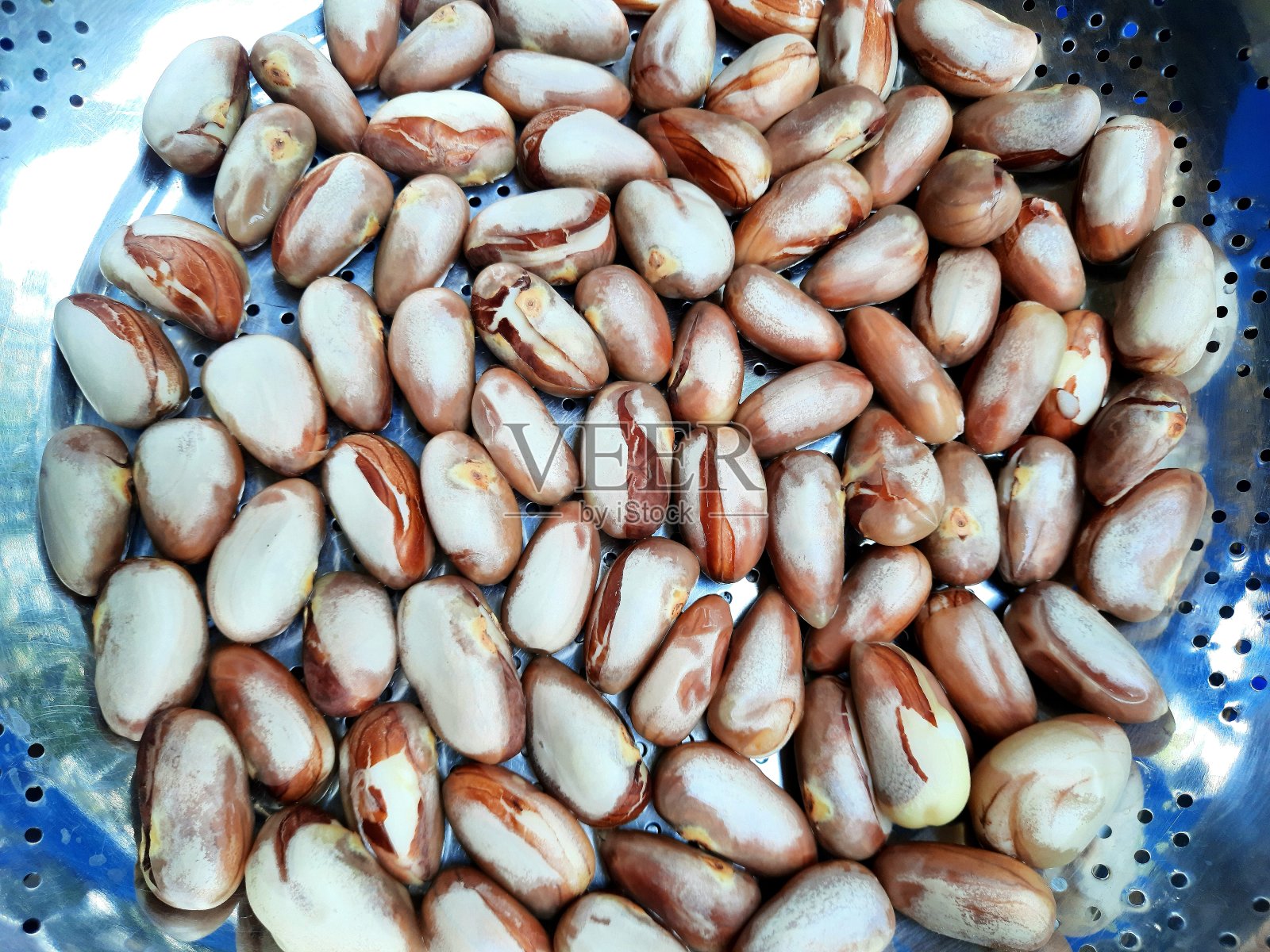 菠萝蜜种子-食品制备。照片摄影图片