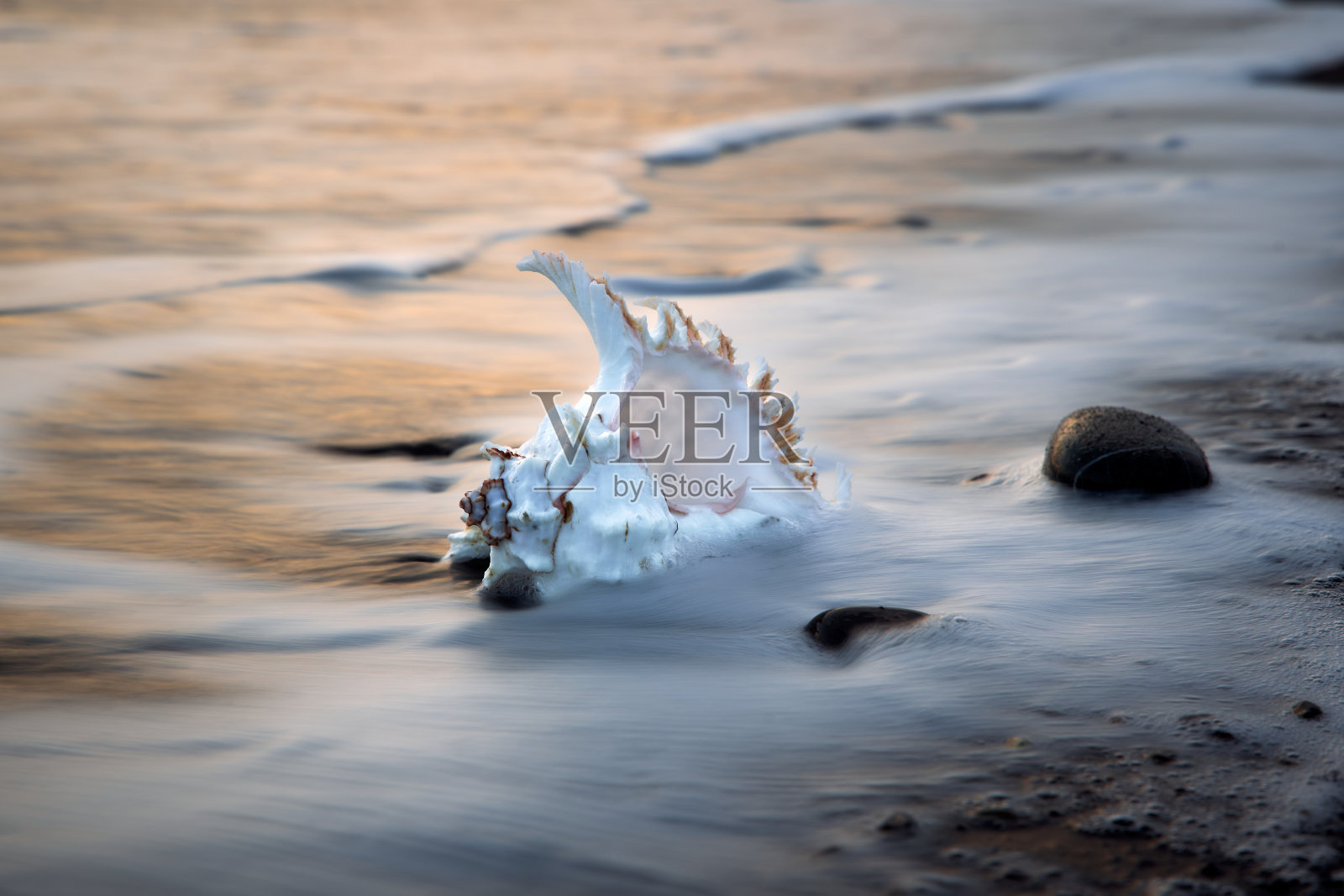 卡斯塔涅托海滩，托斯卡纳照片摄影图片