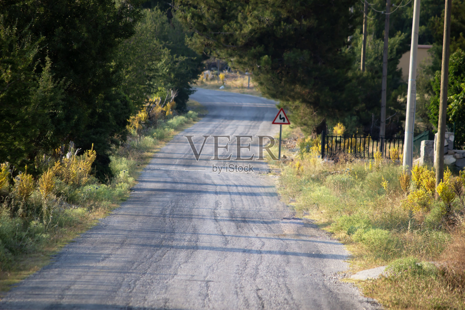 树林间的乡间小路。阳光下笔直的林道。照片摄影图片