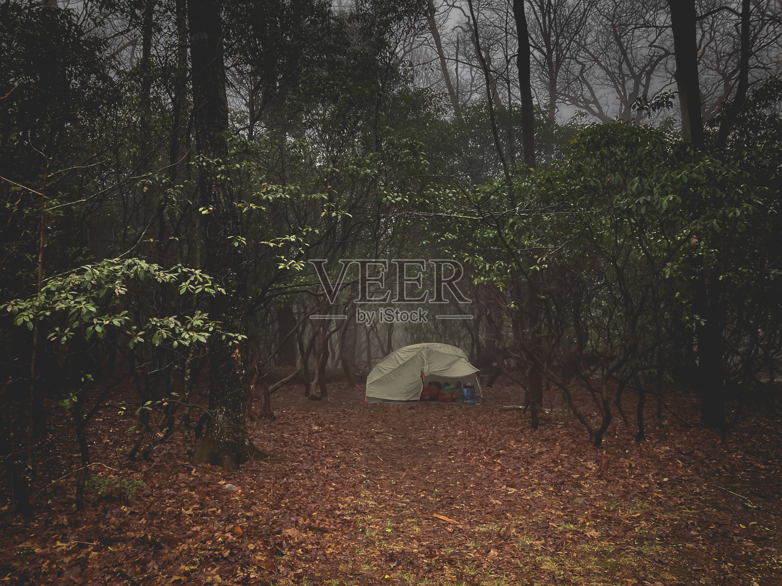 在乔治亚州北部的阿巴拉契亚山径露营和徒步旅行。照片摄影图片
