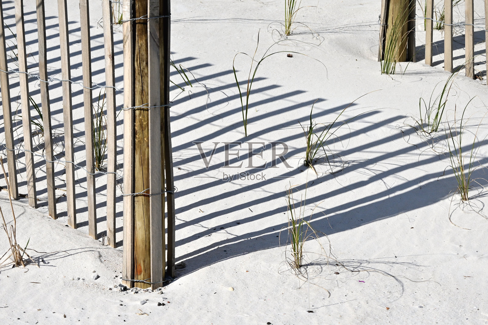 海滩上的篱笆照片摄影图片