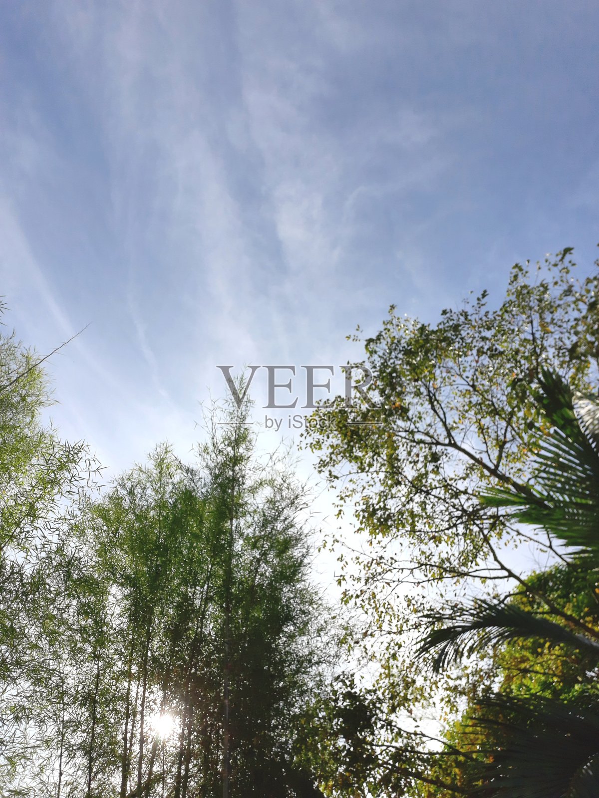 云和树照片摄影图片