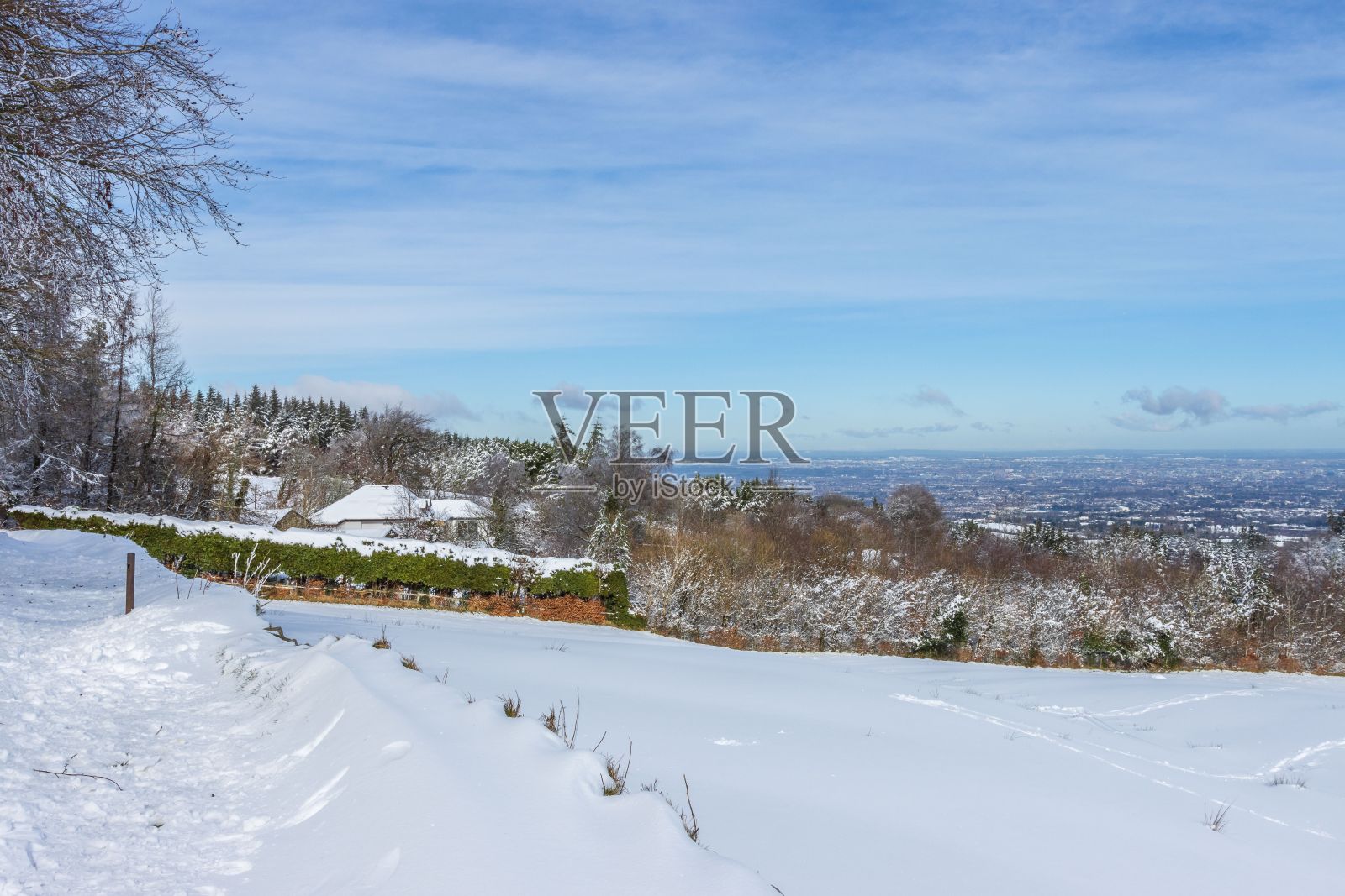美丽的雪景，高大的树木和云层覆盖的天空照片摄影图片