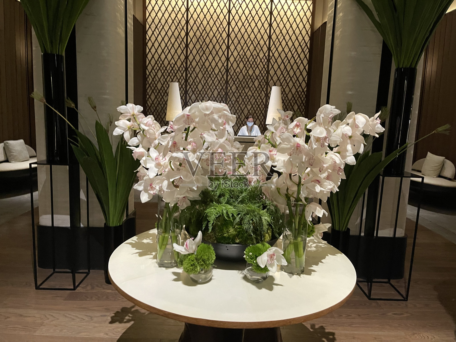 白色的兰花照片摄影图片