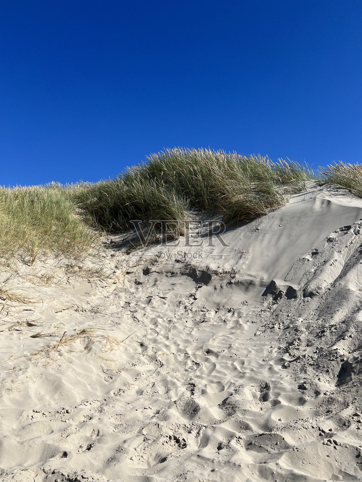 沙滩上的沙丘照片摄影图片