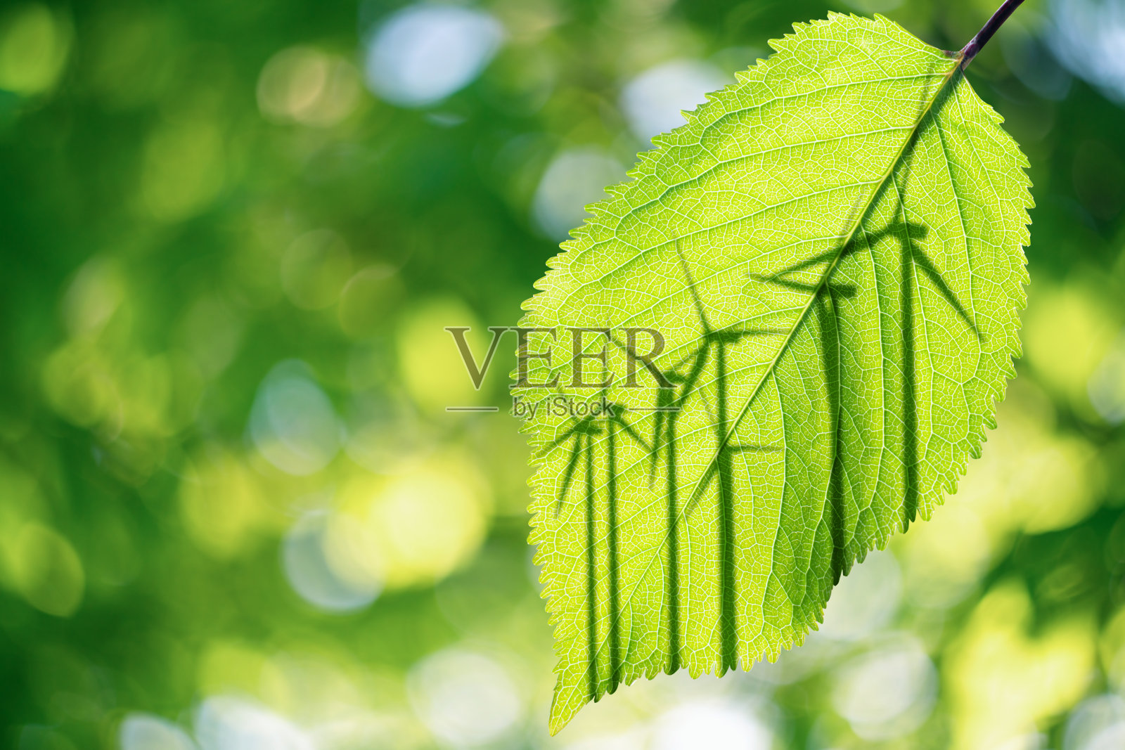 树叶背景上风力涡轮机的剪影。照片摄影图片