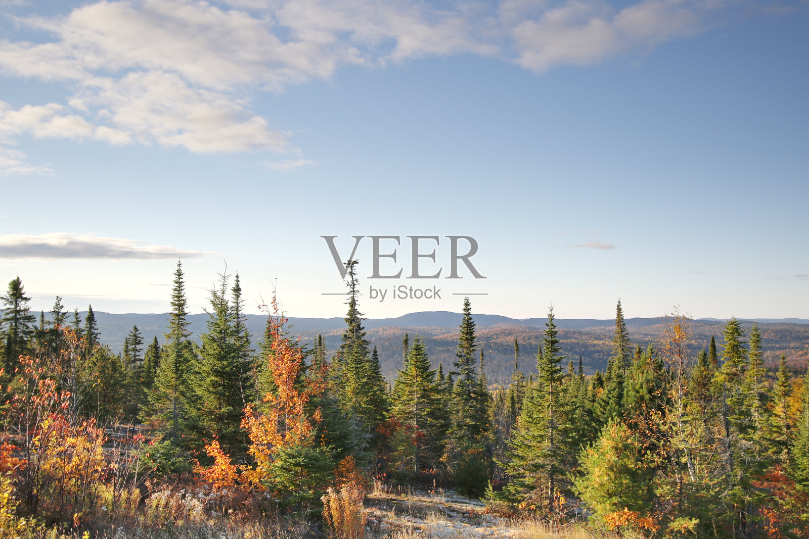 秋天的风景照片摄影图片