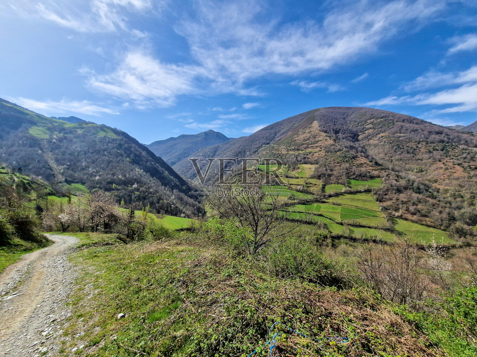 初春时节，西班牙阿斯图里亚斯的莱塔列戈斯山谷照片摄影图片