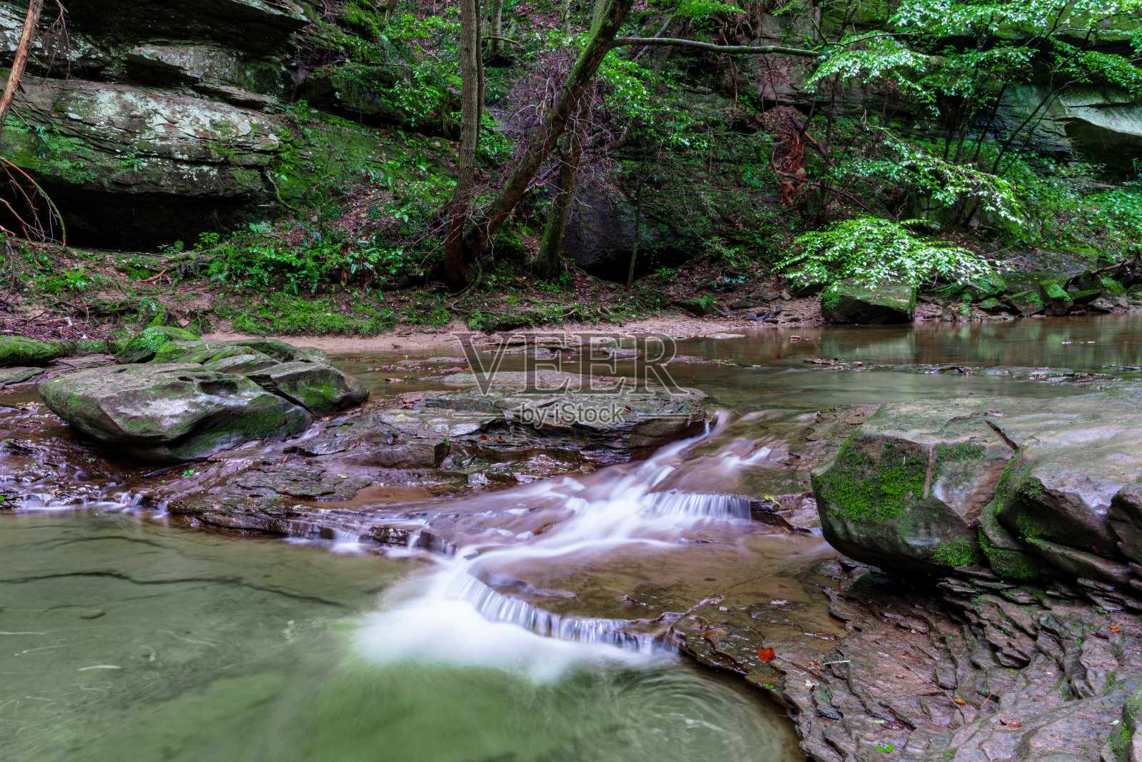 小溪公园照片摄影图片