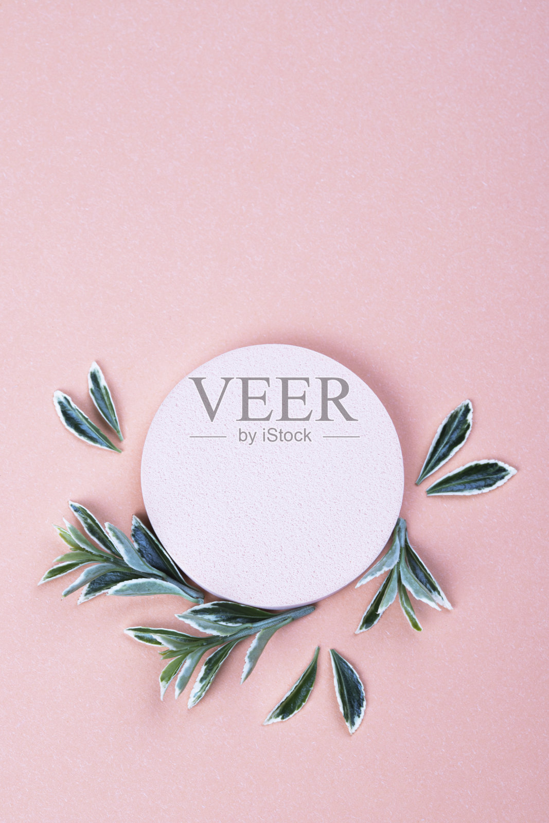 空白圈讲台和绿叶照片摄影图片