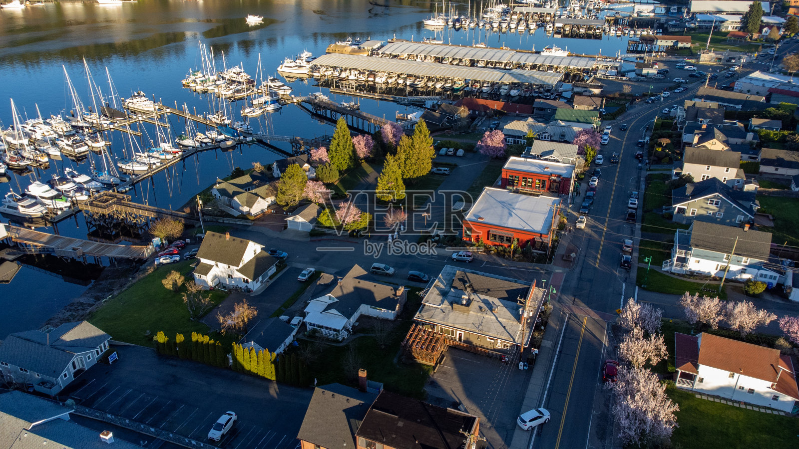 华盛顿吉格港的春天照片摄影图片