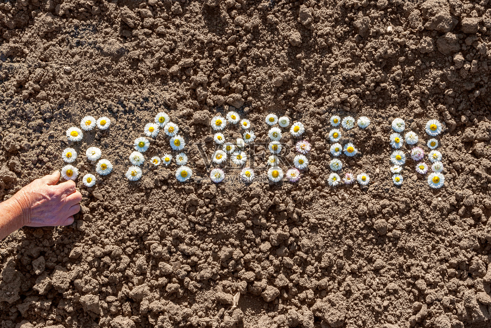 由花形成的花园词照片摄影图片