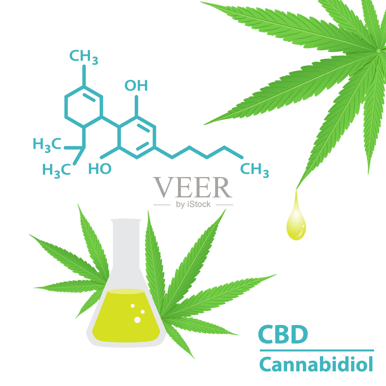 结构大麻二酚矢量插图隔离在白色背景。插画图片素材