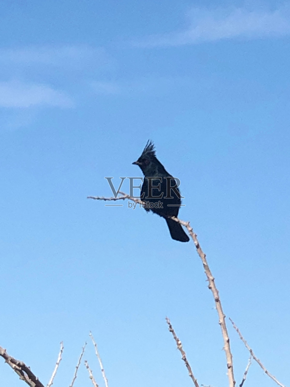 印度的海湾照片摄影图片