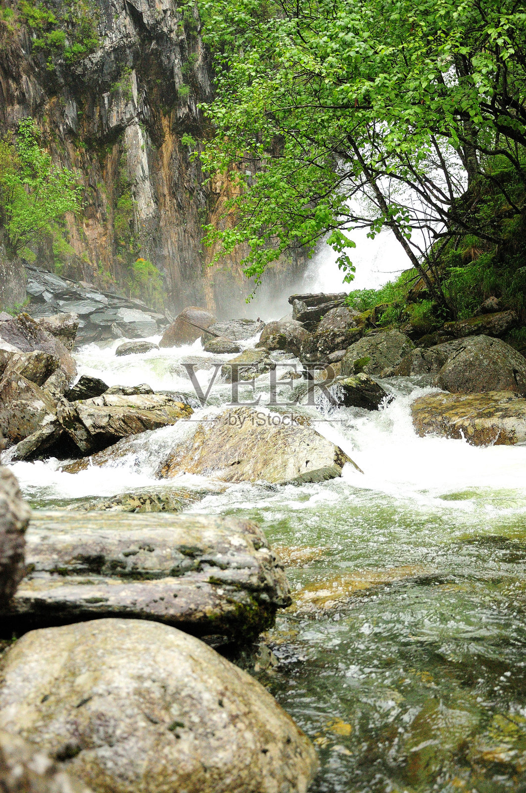 透过灌木丛和石头，看到从山上倾泻而下的湍急的河水。照片摄影图片