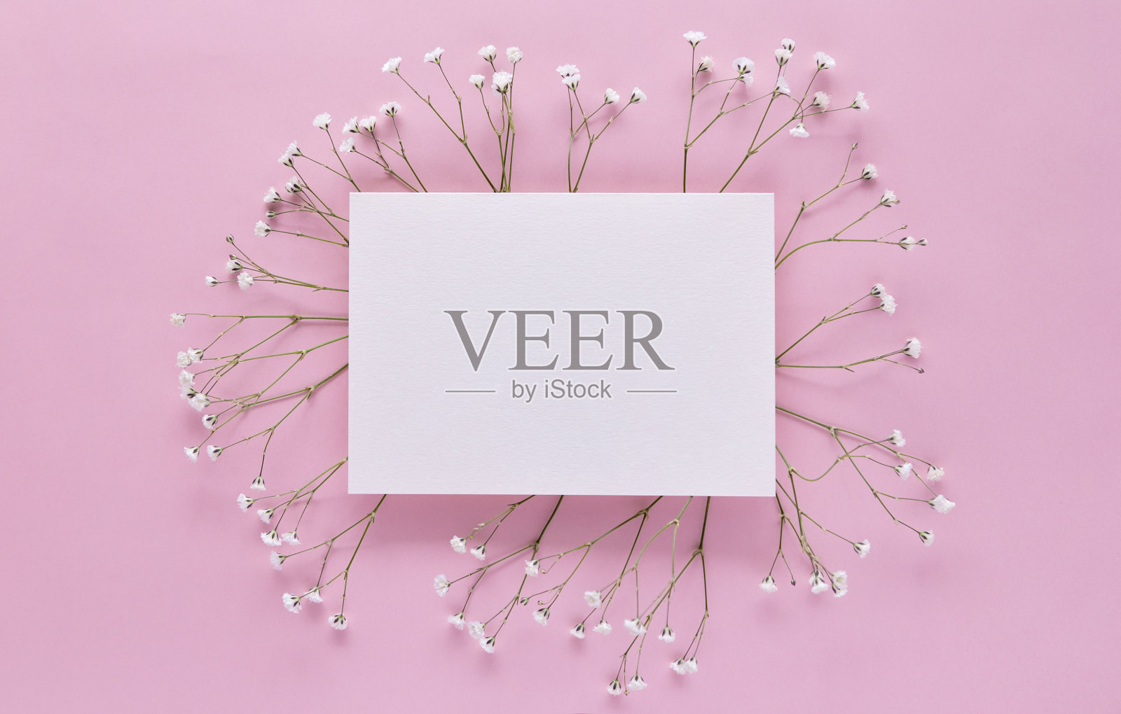 明信片的模型与吉普赛在粉红色的背景。贺卡，妇女节，母亲节，情人节，生日，复印空间。照片摄影图片