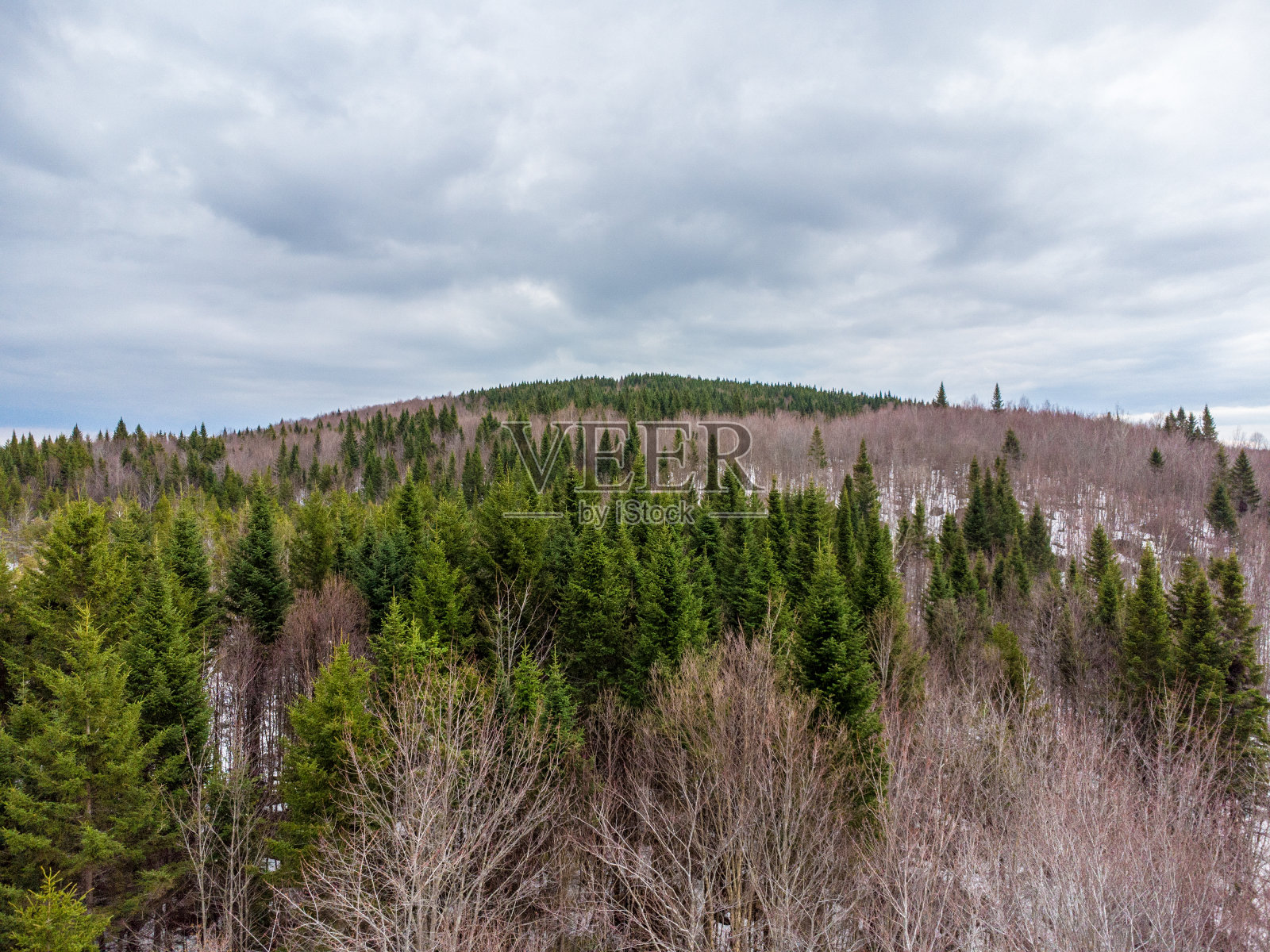 森林和山的鸟瞰图照片摄影图片