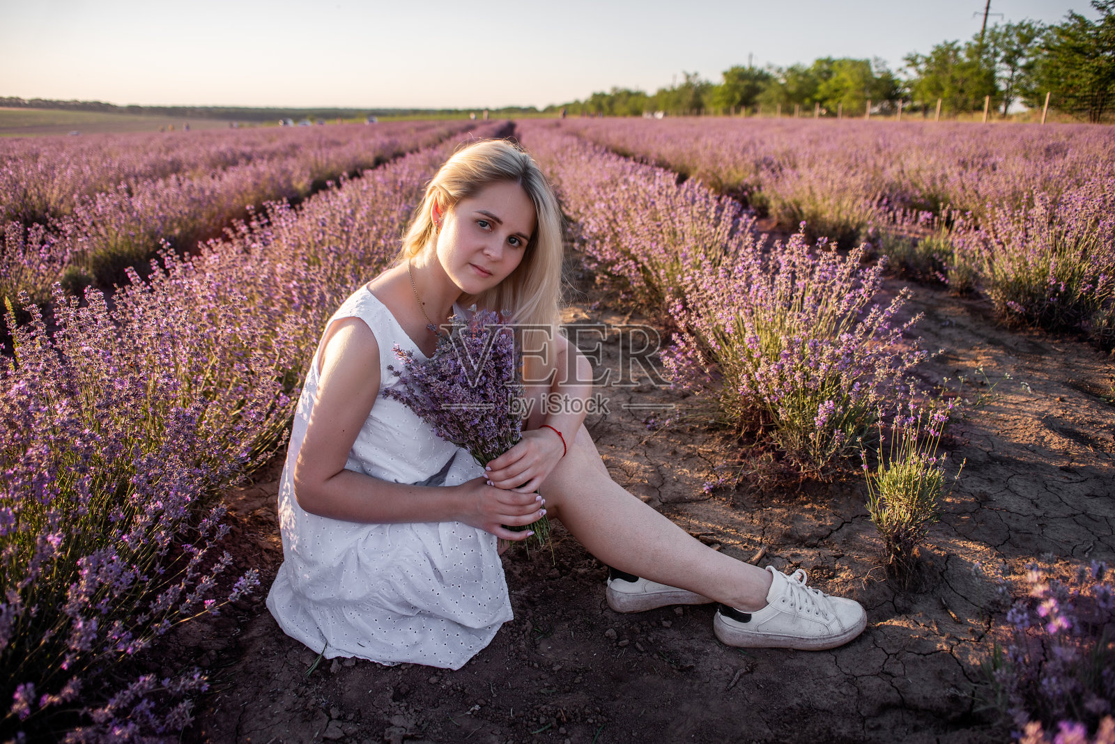 身穿白色连衣裙的年轻女子坐在田野里一排排紫色的薰衣草丛中。捧着花束的千禧女孩照片摄影图片