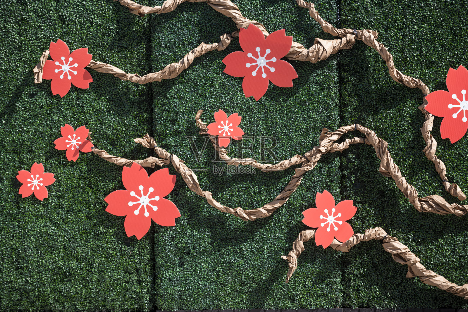 樱花以花枝为背景照片摄影图片