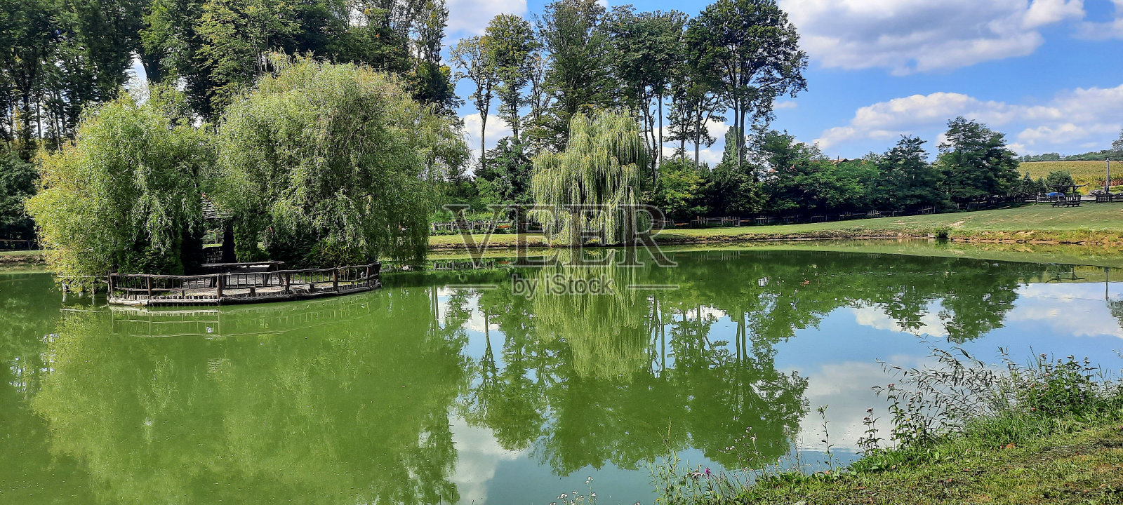 一个池塘，中间有树，在草地上照片摄影图片