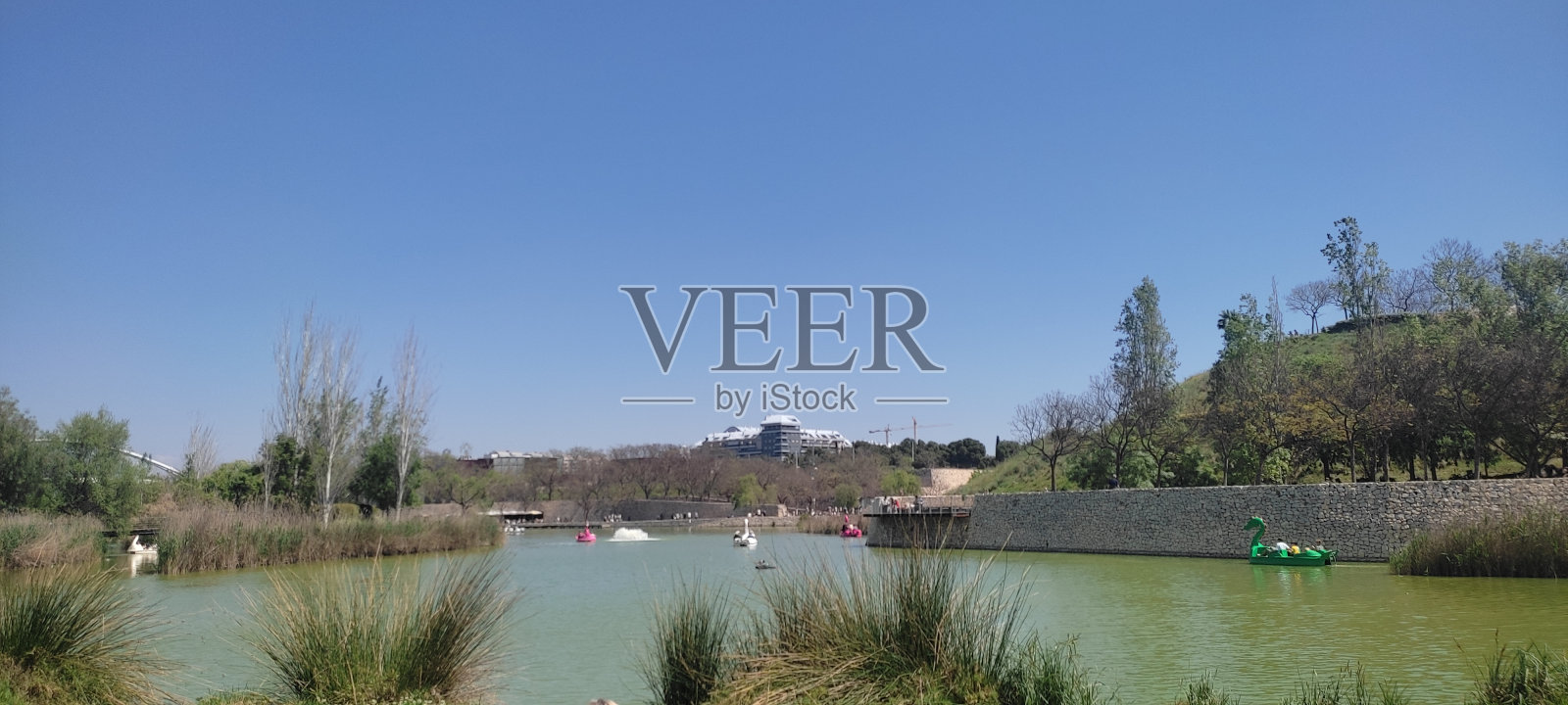 带池塘的公园照片摄影图片