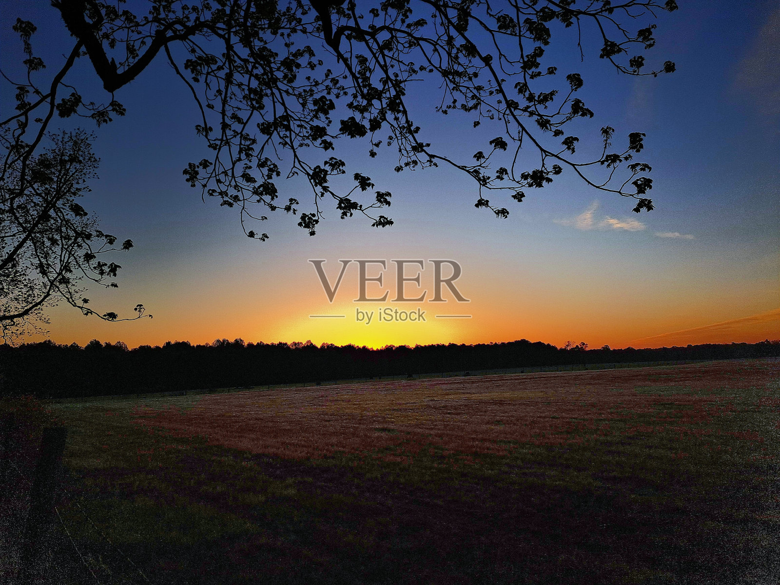 承诺保持照片摄影图片