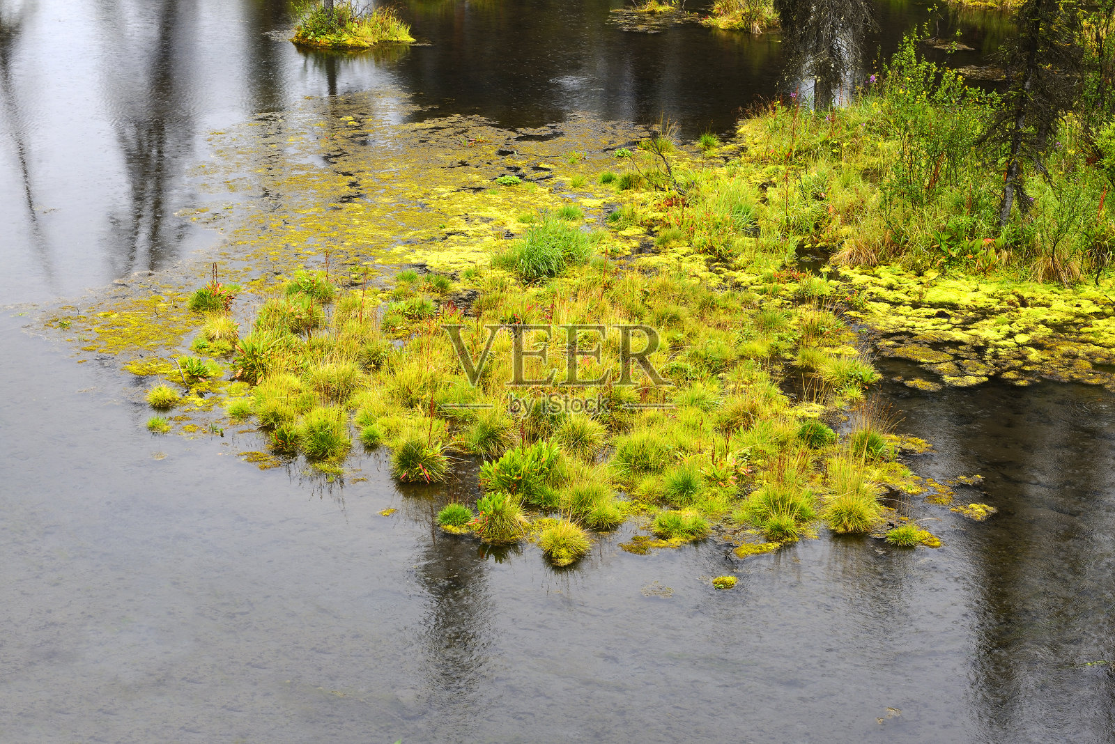 墓碑领土公园，育空地区，加拿大照片摄影图片