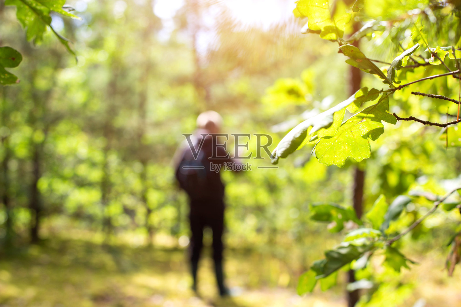 一个人站在森林的一块空地上，试图找到该地区的地标。在森林里迷路。野外生存。模糊照片摄影图片