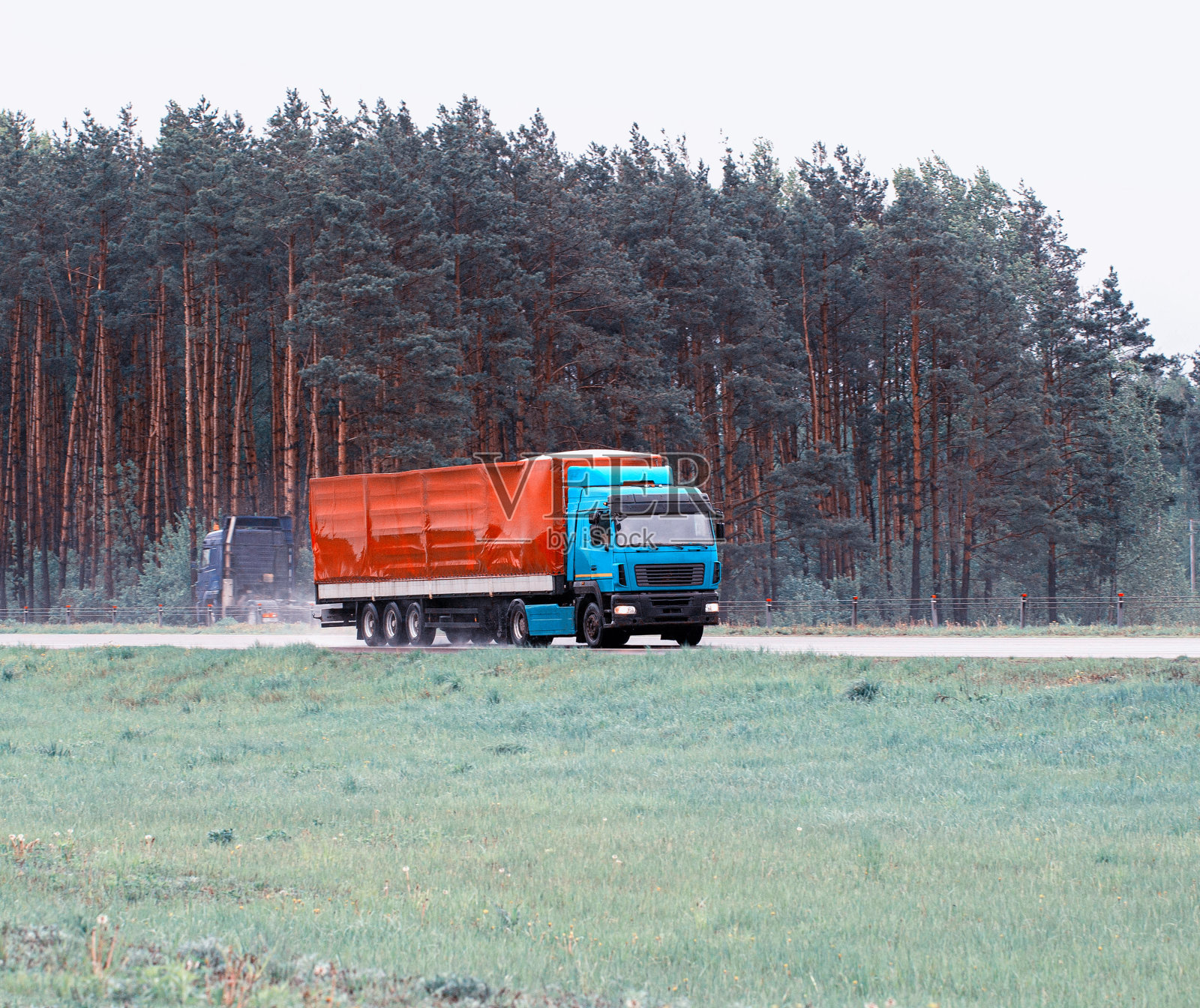 图为，在阴雨的天气里，以森林为背景，卡车司机正在用半挂车运送货物。文本复制空间照片摄影图片