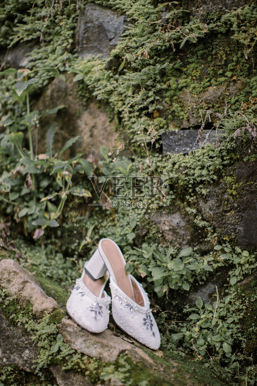 婚礼鞋照片摄影图片