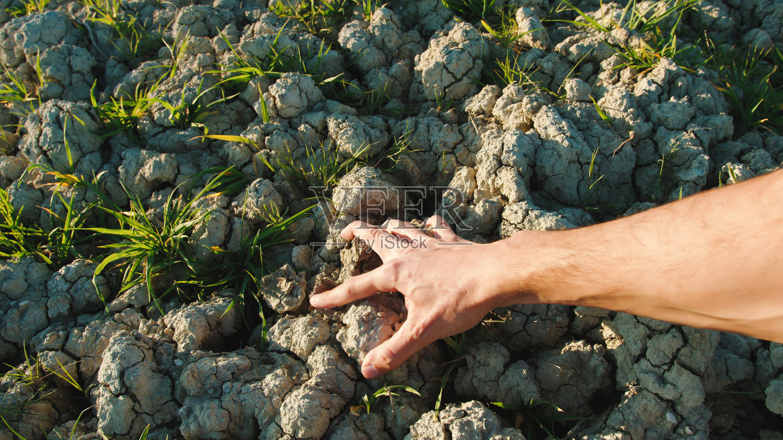 手触摸着干土照片摄影图片