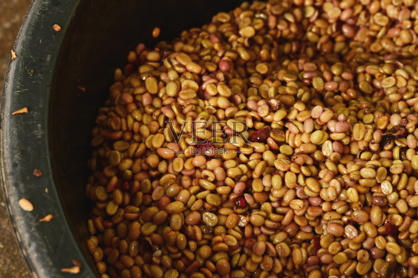 咖啡豆，在发酵和清洗的方法照片摄影图片