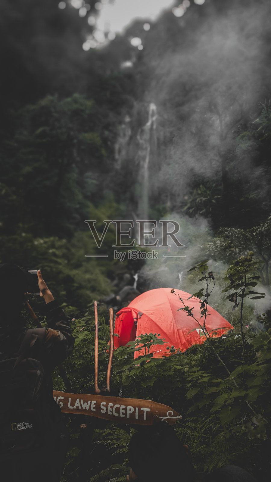 森林照片摄影图片