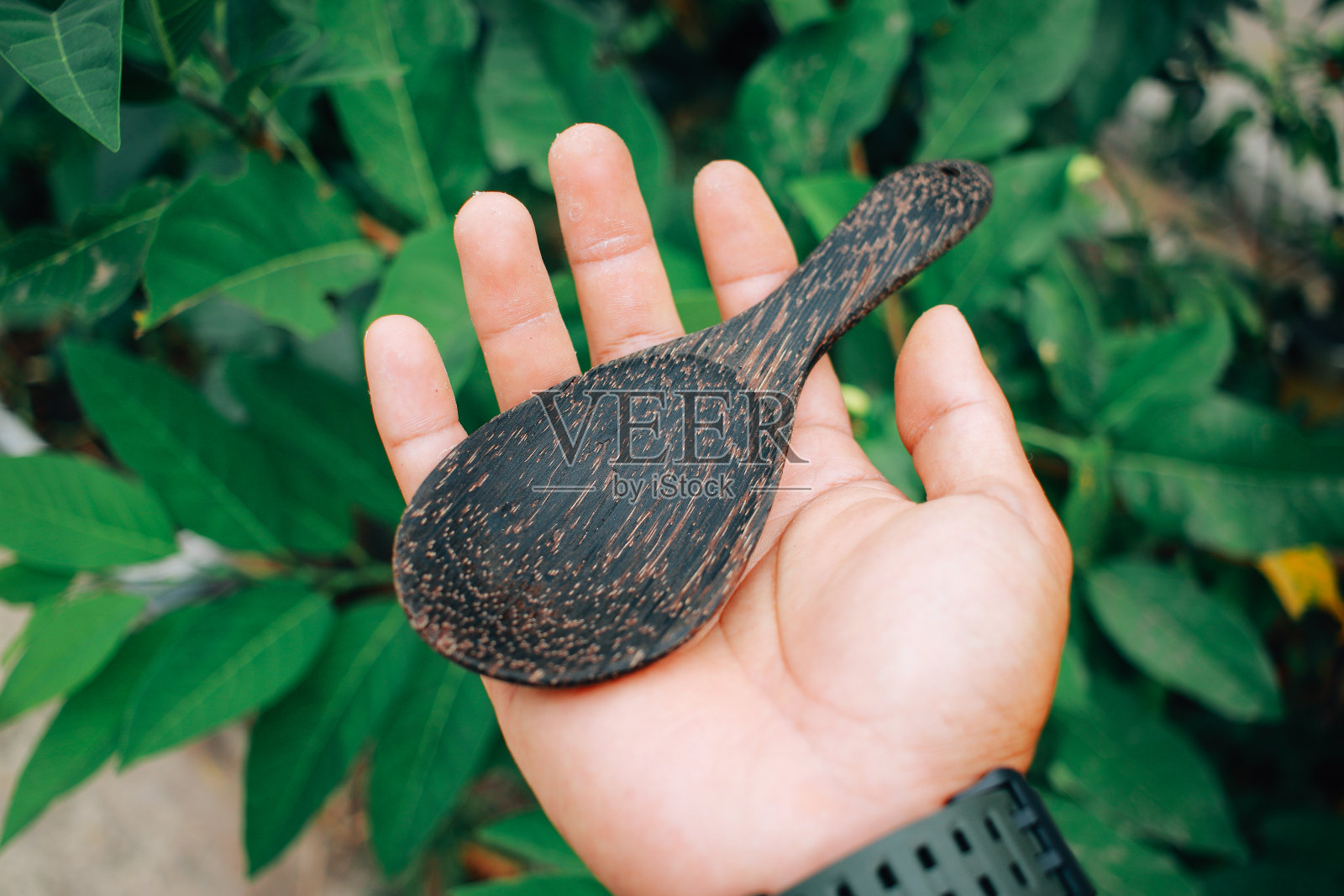 木匙照片摄影图片