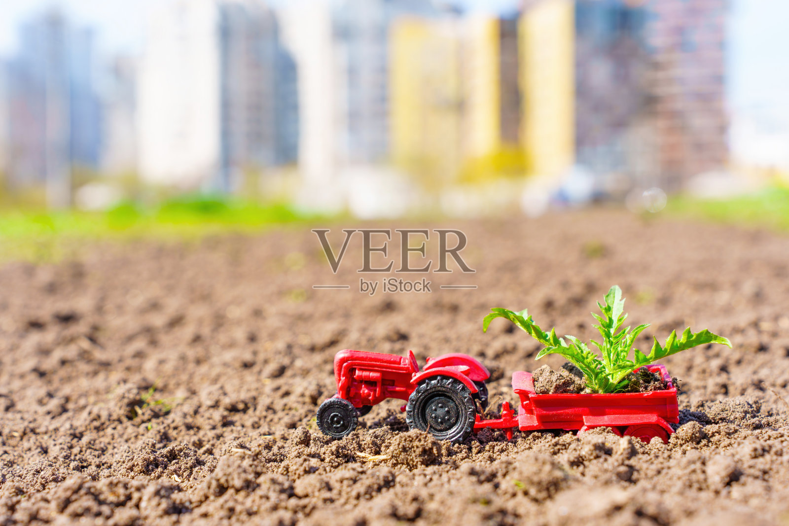 玩具拖拉机与蒲公英叶与城市景观照片摄影图片