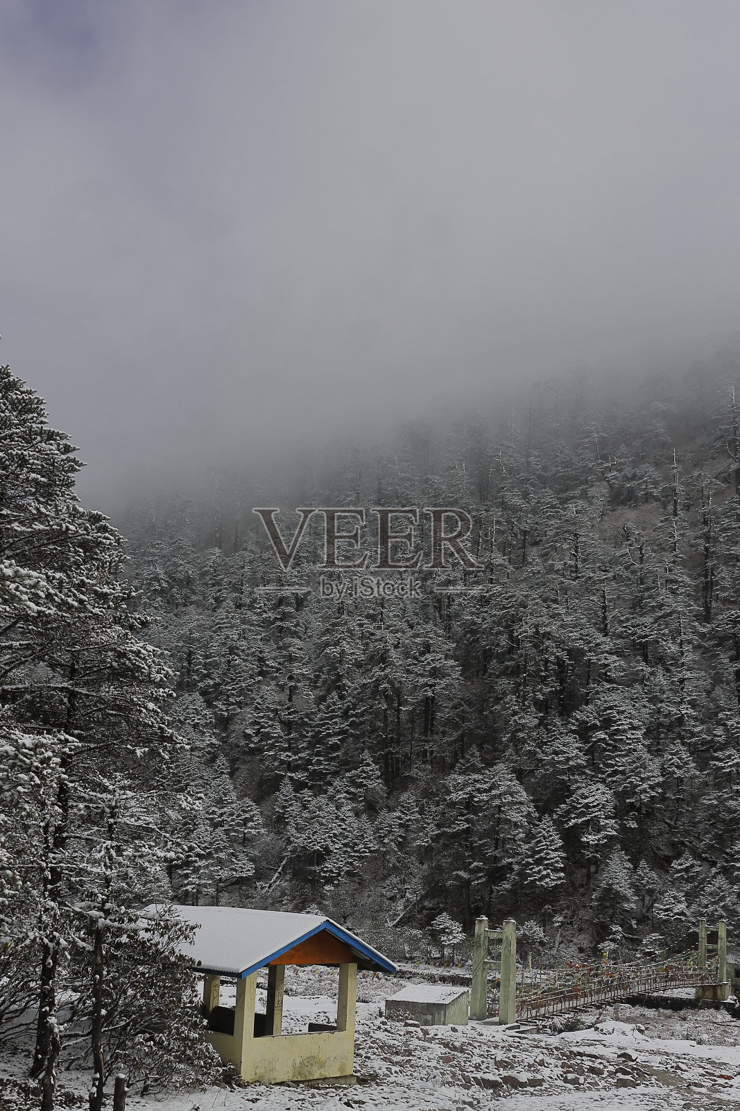 冬天，白雪覆盖着云塘山谷，美丽的云塘位于印度锡金北部的喜马拉雅山麓照片摄影图片