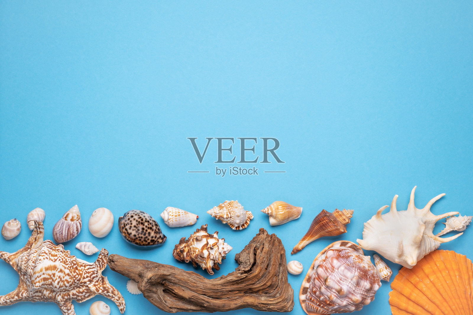 夏天平坦的躺着，框架与贝壳，浮木和海星在蓝色的背景。照片摄影图片