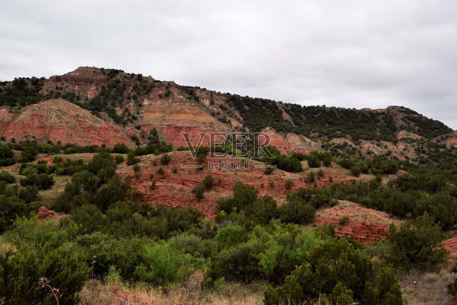 美国德克萨斯州帕罗杜罗峡谷州立公园风景如画照片摄影图片