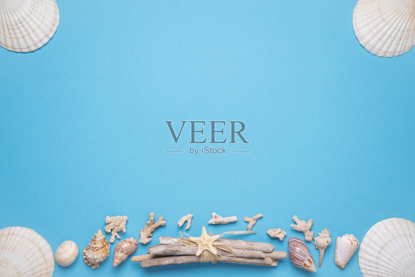 夏日平地上，蓝色的背景上点缀着贝壳。度假、度假、暑假创意概念、文案空间、横幅照片摄影图片