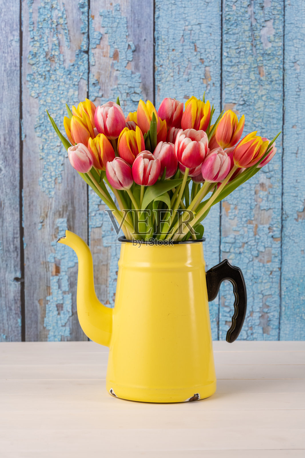 蓝色旧木墙前，黄色搪瓷咖啡壶里新鲜的彩色郁金香花束照片摄影图片