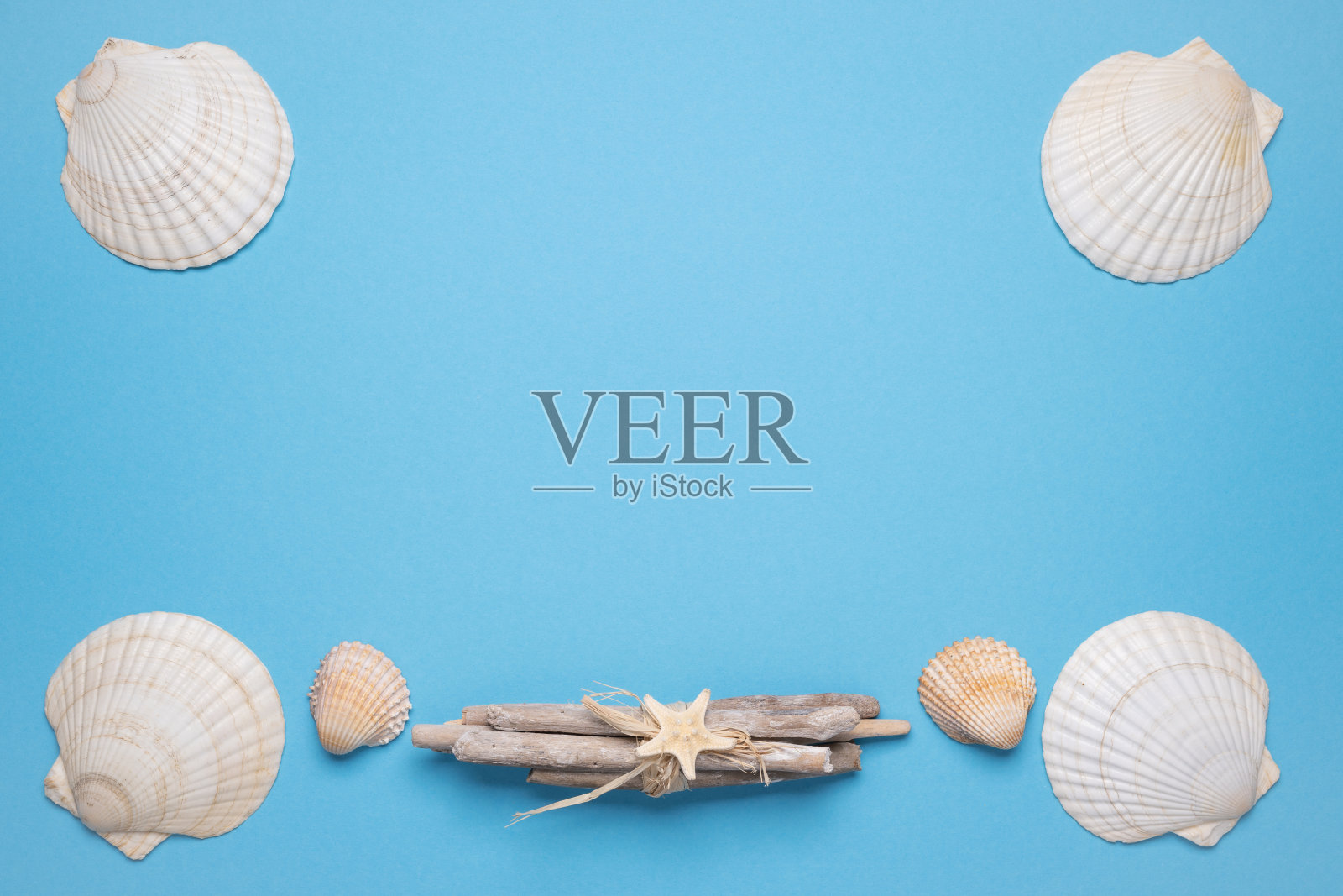 夏日平地上，蓝色的背景上点缀着贝壳。度假、度假、暑假创意概念、文案空间、横幅照片摄影图片