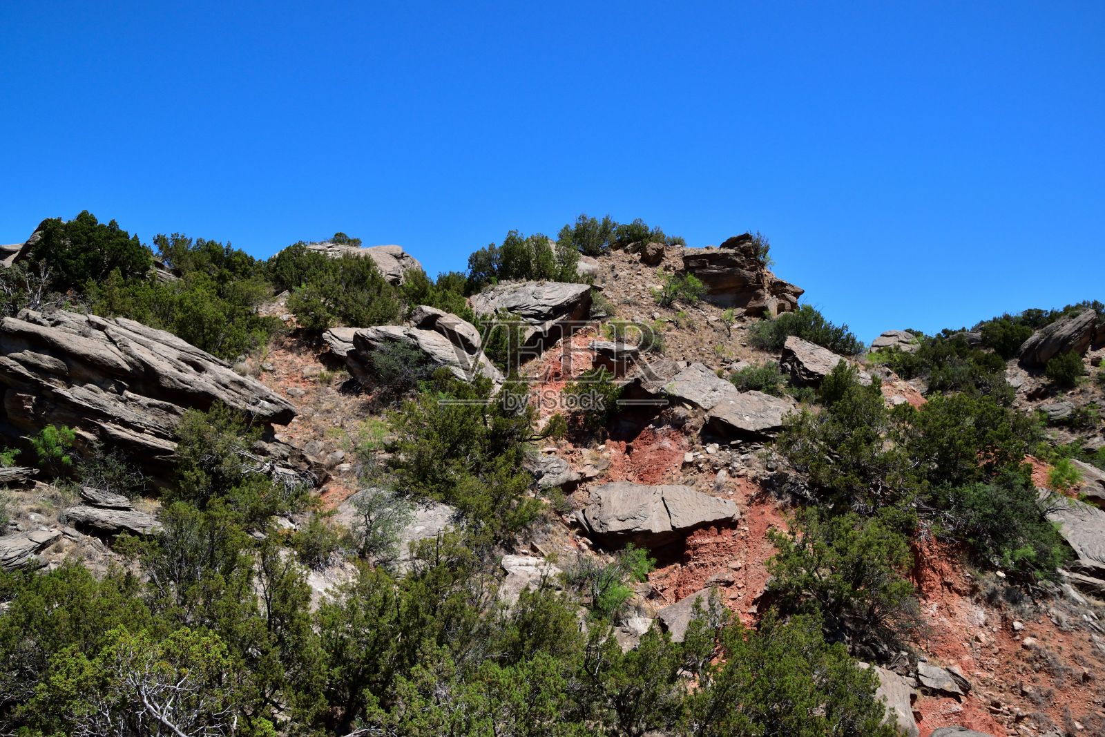 美国德克萨斯州帕罗杜罗峡谷州立公园的美景照片摄影图片