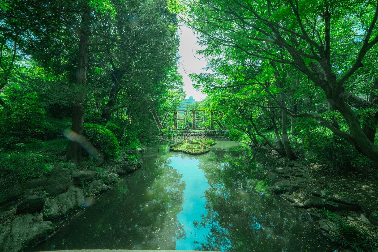 东京公园池塘和天空照片摄影图片