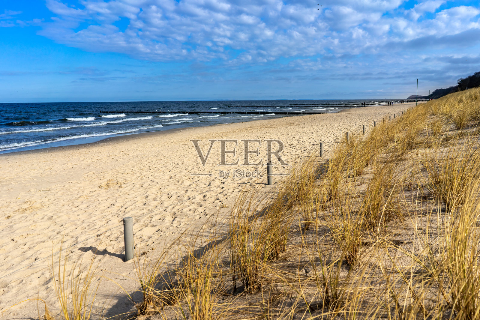 沙丘和波罗的海照片摄影图片