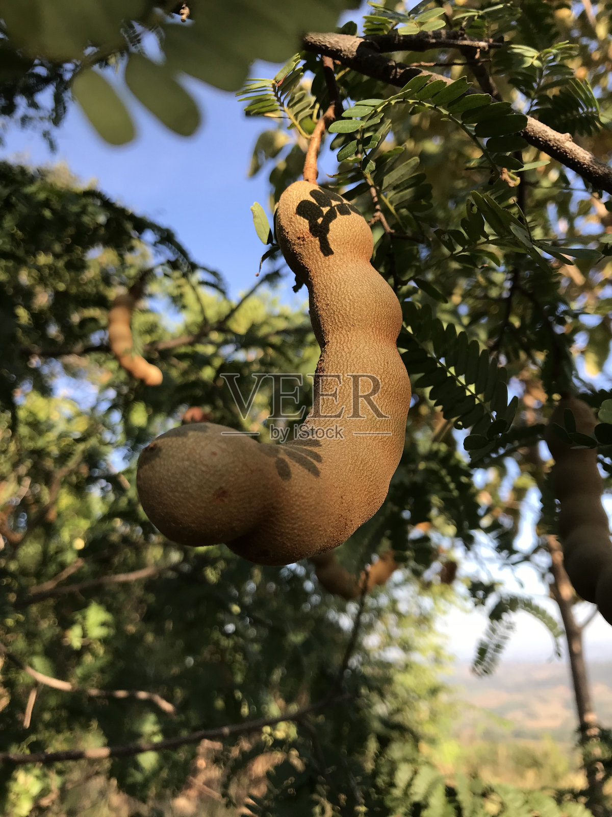 G015照片摄影图片